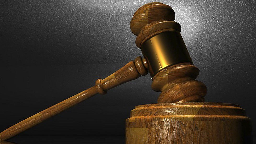 Dems press Albany DA to probe Zeldin campaign signatures - Vimarsana News